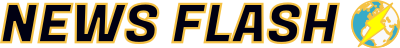 Newsflash Logo